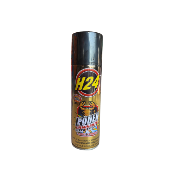 H-24 Poder Fulminante Chico Aerosol
