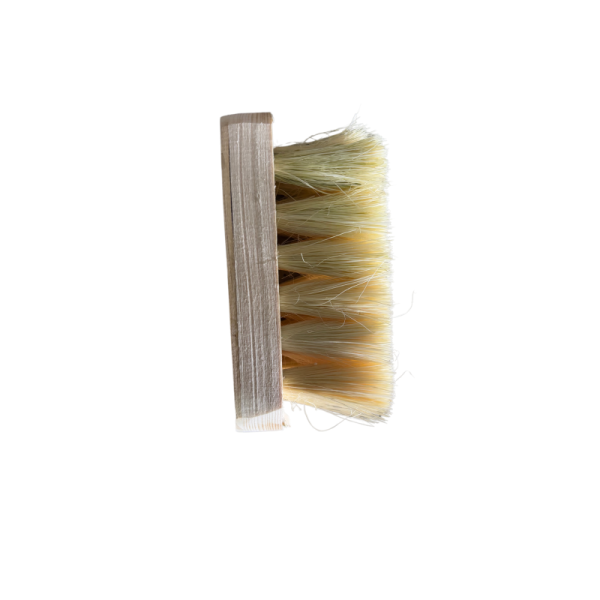 Cepillo Lechuguilla 6 Motas